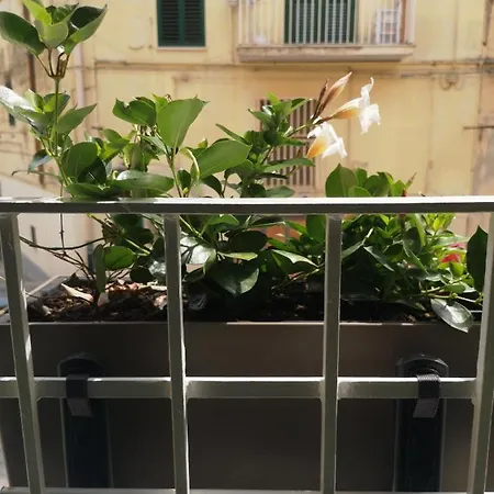 Casa Nannina בית נופש *