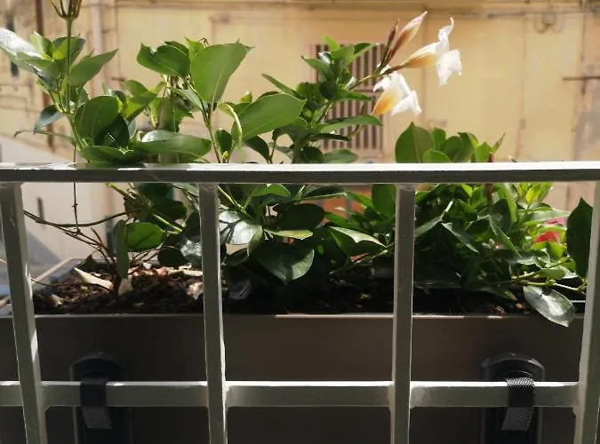 Casa Nannina Casa vacanze *